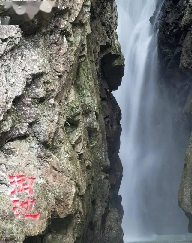 损害生态环境?“应赔尽赔”!