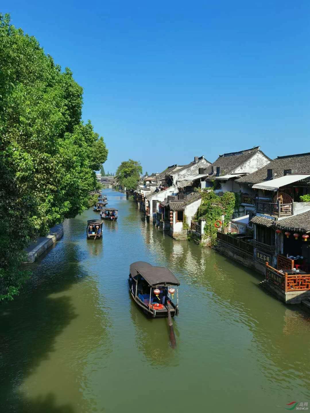 求英语语法填空讲解和答案游戏画面